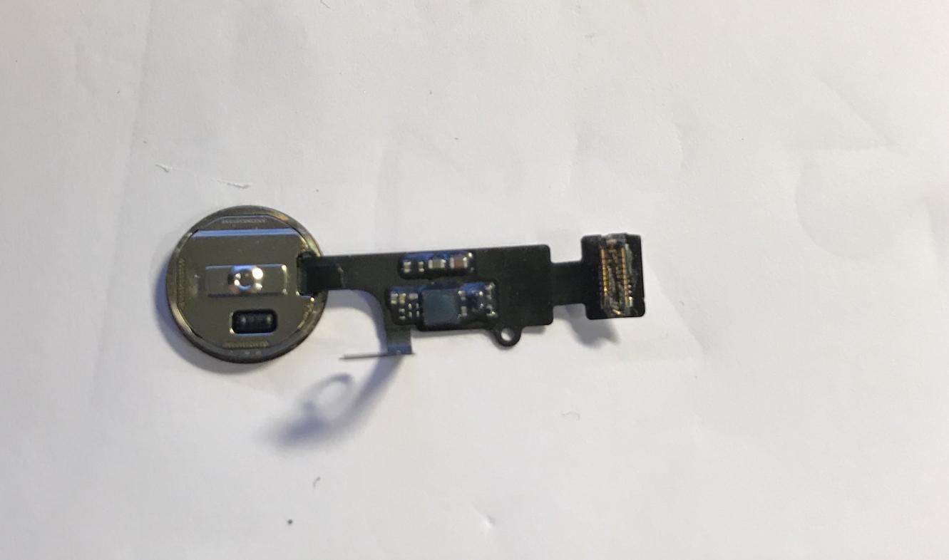 iPhone 7 Homebutton.jpg